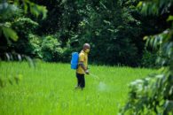 homem contendo pragas e doenças aplicando pesticida na plantação